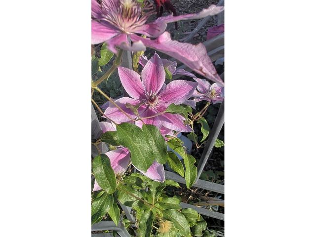 6815 Quarter Circle Rd, Colorado Springs, CO 80922