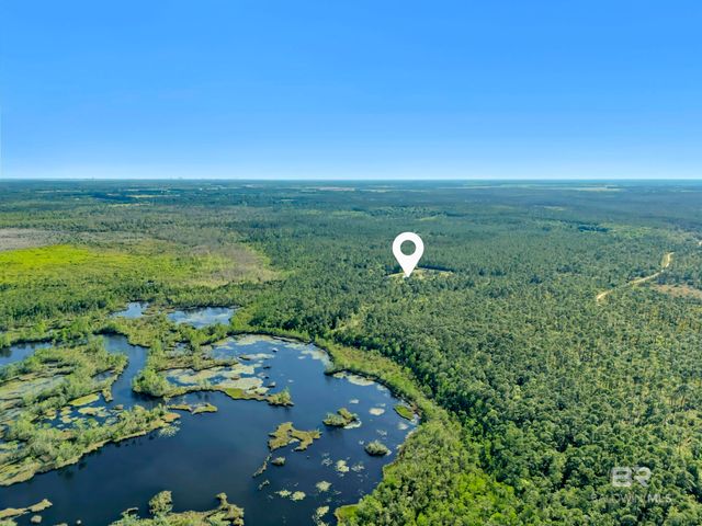 34130 Alligator Bayou Road, Lillian, AL 36549