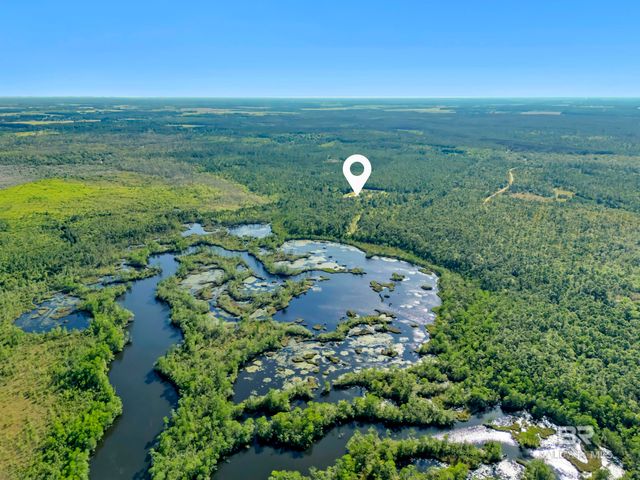 34130 Alligator Bayou Road, Lillian, AL 36549