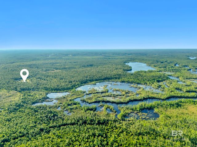 34130 Alligator Bayou Road, Lillian, AL 36549