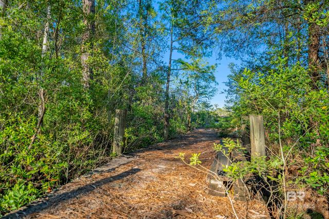 34130 Alligator Bayou Road, Lillian, AL 36549