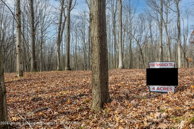 11581 Tamarack Trail, Bath, MI 48808