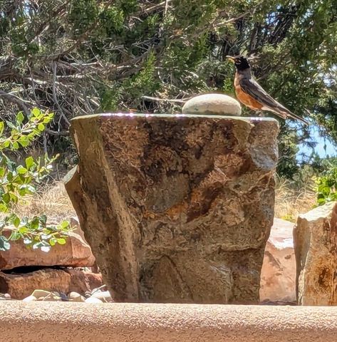 2 Concha Court, Sandia Park, NM 87047