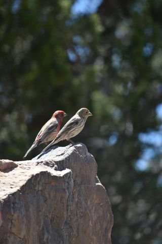 2 Concha Court, Sandia Park, NM 87047