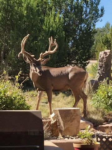 2 Concha Court, Sandia Park, NM 87047