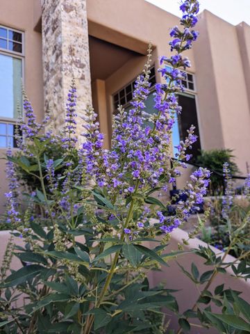 2 Concha Court, Sandia Park, NM 87047