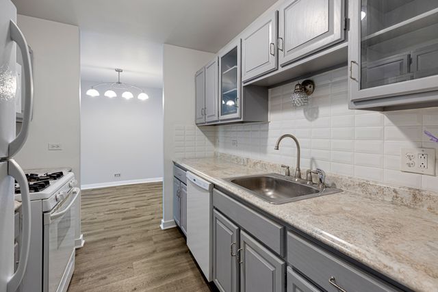 898 Wellington Avenue 218, Elk Grove Village, IL 60007