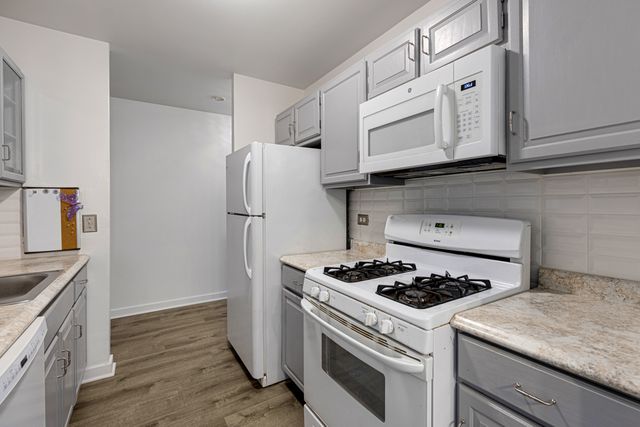 898 Wellington Avenue 218, Elk Grove Village, IL 60007