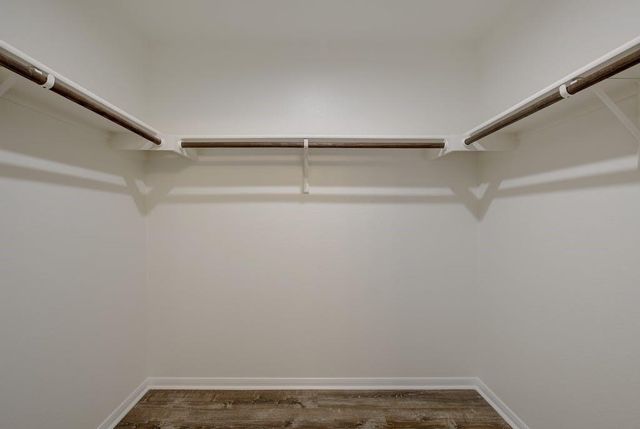 173 Rafe CT, Kyle, TX 78640