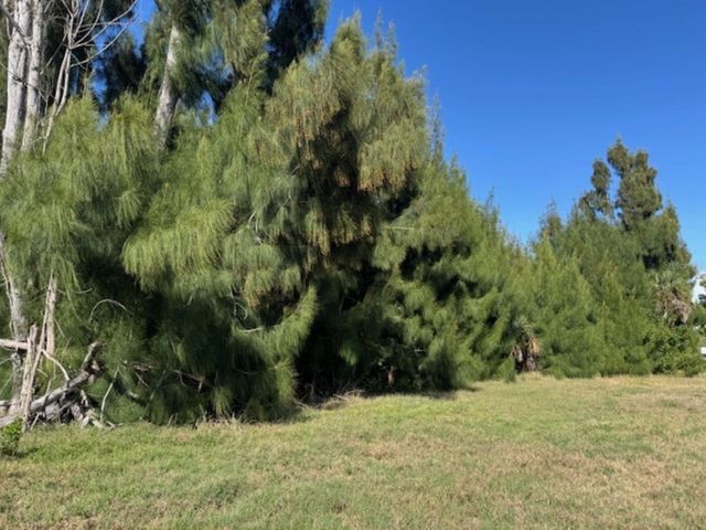 75 GREEN DOLPHIN DRIVE N, Placida, FL 33946