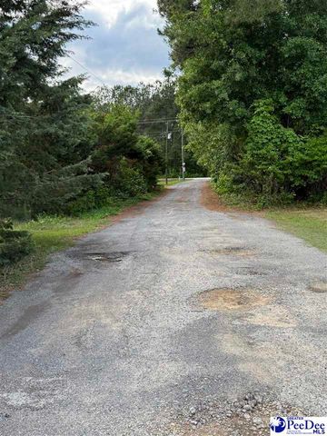 2116 Southfork, Darlington, SC 29532