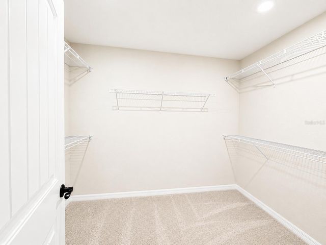 6722 HAVENLEAF AVENUE, Winter Garden, FL 34787