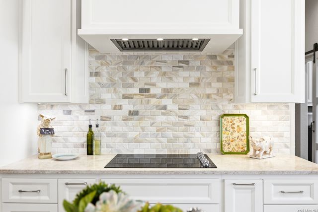 541 Saxet Trl, Spring Branch, TX 78070