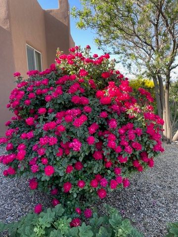 7 Caballo Viejo, Santa Fe, NM 87508