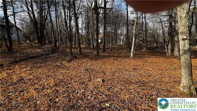 1922 Old Stage Road, Penn Forest Twp, PA 18210