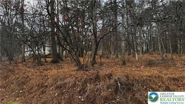 1922 Old Stage Road, Penn Forest Twp, PA 18210