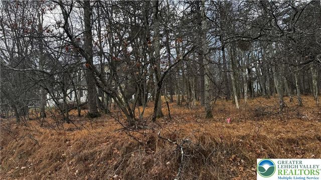 1922 Old Stage Road, Penn Forest Twp, PA 18210