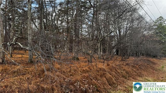 1922 Old Stage Road, Penn Forest Twp, PA 18210