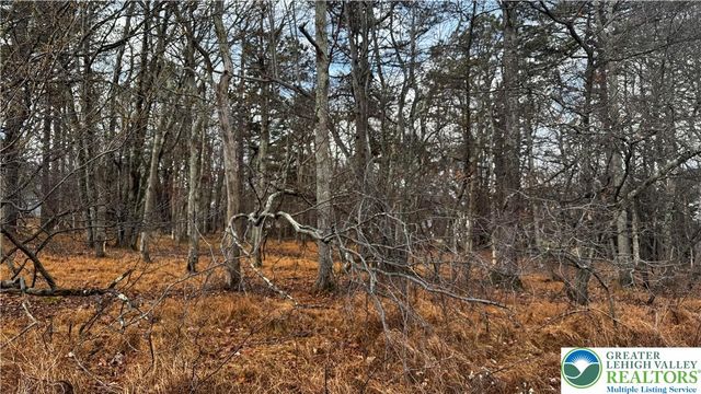 1922 Old Stage Road, Penn Forest Twp, PA 18210