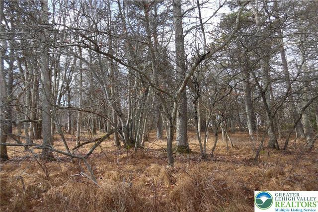 1922 Old Stage Road, Penn Forest Twp, PA 18210