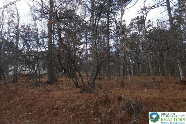 1922 Old Stage Road, Penn Forest Twp, PA 18210