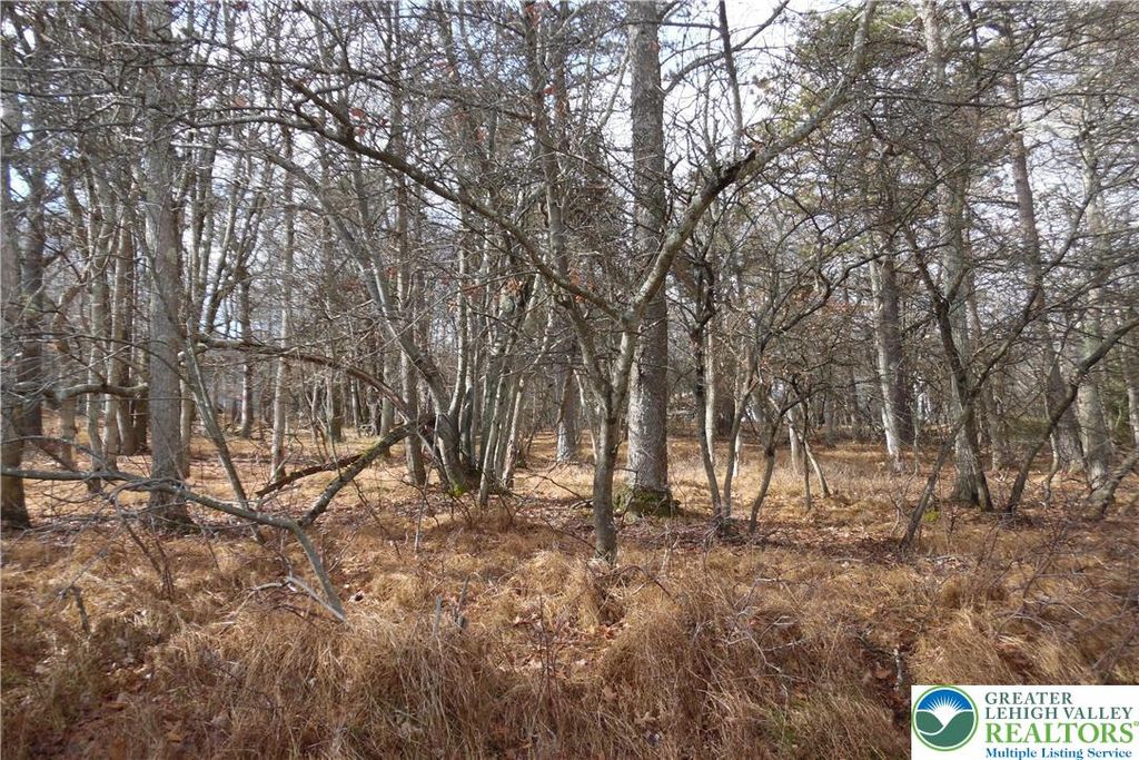 1922 Old Stage Road, Penn Forest Twp, PA 18210