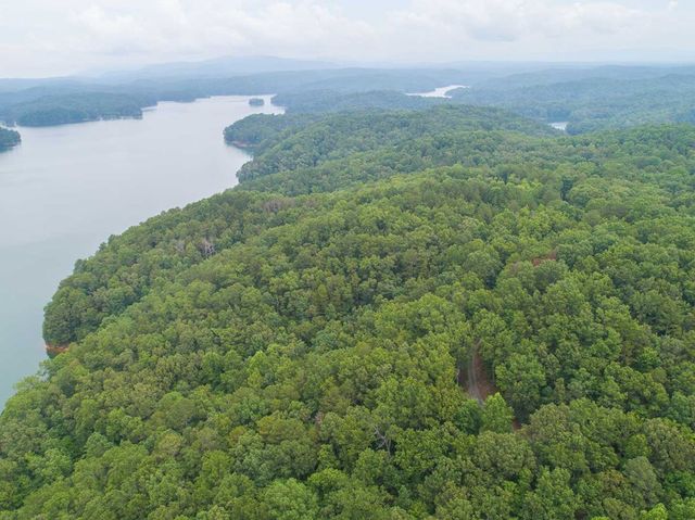 0 Deer Lane, Ellijay, GA 30540