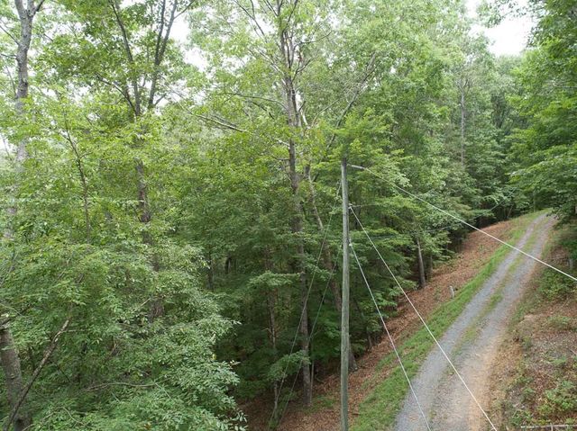 0 Deer Lane, Ellijay, GA 30540