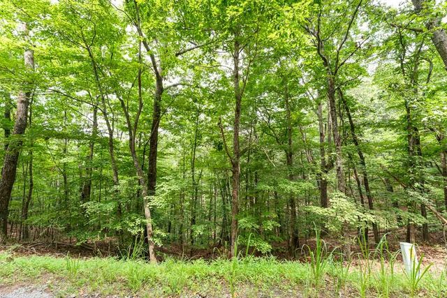0 Deer Lane, Ellijay, GA 30540