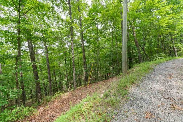 0 Deer Lane, Ellijay, GA 30540