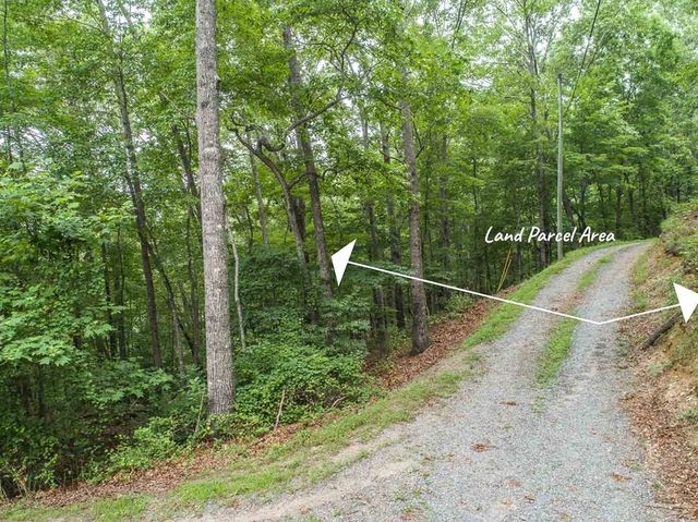 0 Deer Lane, Ellijay, GA 30540