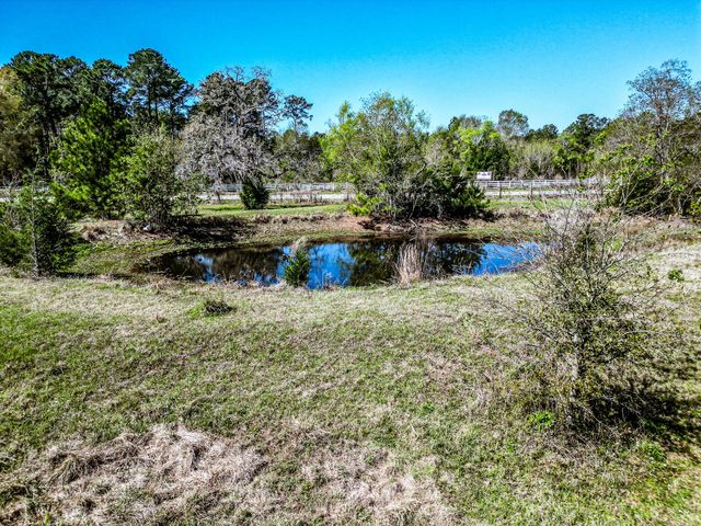 25790 Lakeside Drive, Hockley, TX 77447