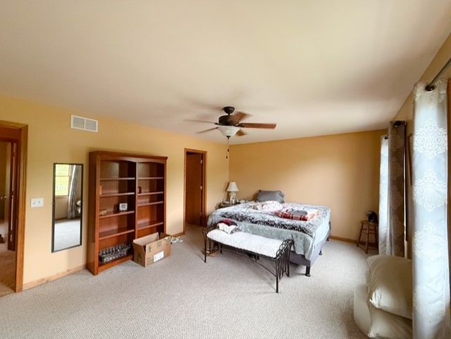 26217 S Rachael Drive, Channahon, IL 60410