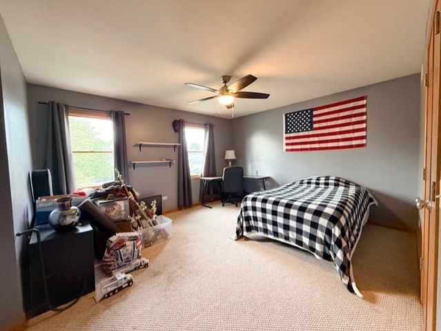 26217 S Rachael Drive, Channahon, IL 60410