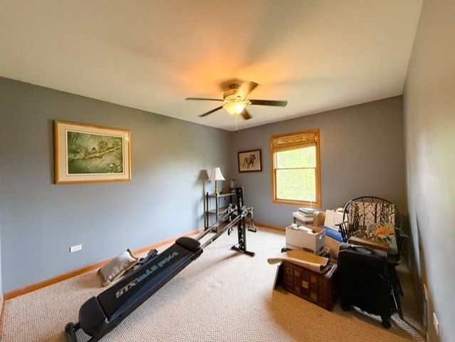 26217 S Rachael Drive, Channahon, IL 60410