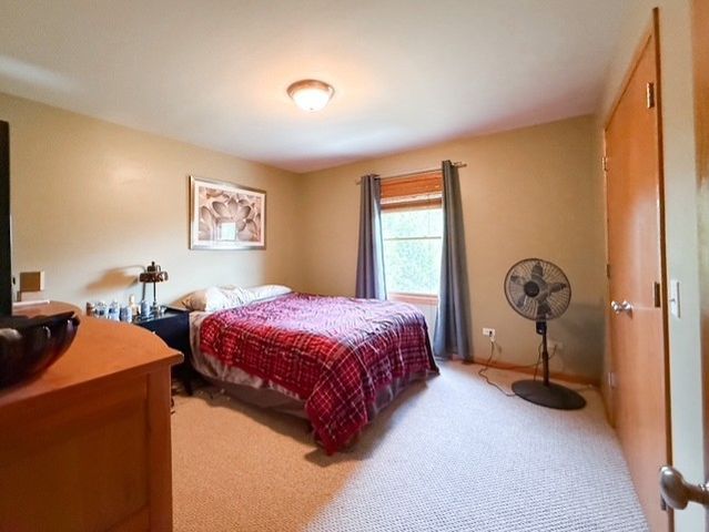26217 S Rachael Drive, Channahon, IL 60410