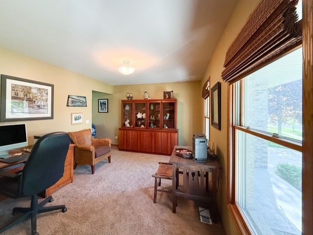26217 S Rachael Drive, Channahon, IL 60410