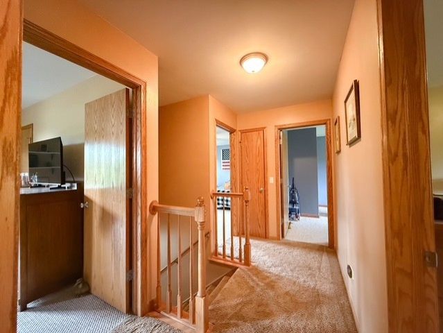 26217 S Rachael Drive, Channahon, IL 60410