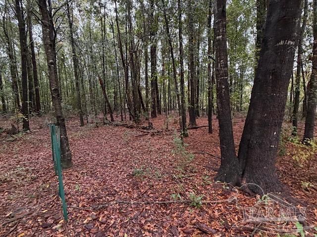 3218 Archies Way, Pace, FL 32571