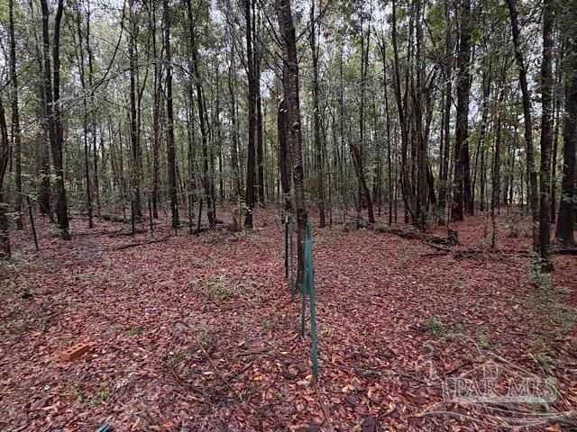 3218 Archies Way, Pace, FL 32571