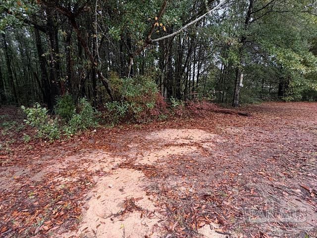 3218 Archies Way, Pace, FL 32571