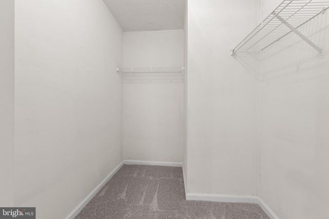 15109 POPLAR CT, Orange, VA 22960