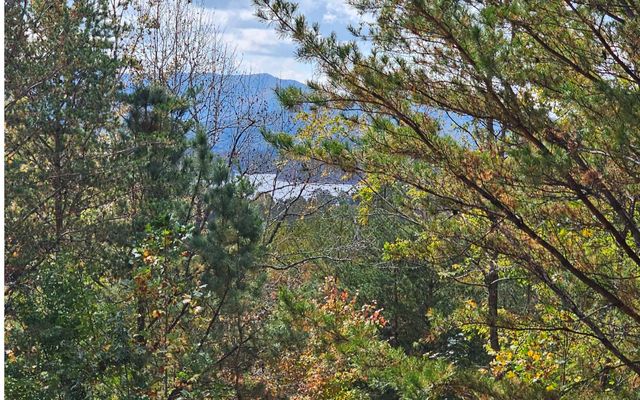 9A Chatuge Woods, Hayesville, NC 28904