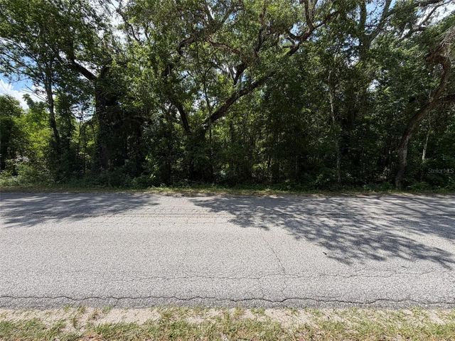 0 CR 656, Webster, FL 33597