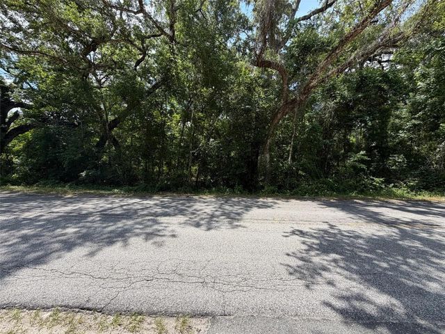 0 CR 656, Webster, FL 33597