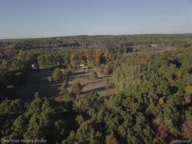 12749 Shaffer Road, Springfield Charter Township, MI 48350