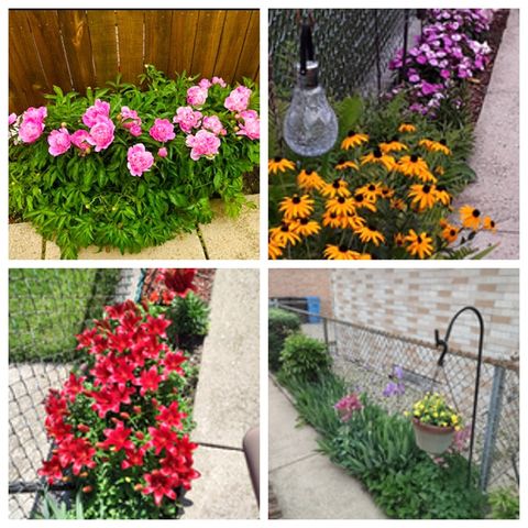 8318 S Keeler Avenue, Chicago, IL 60652