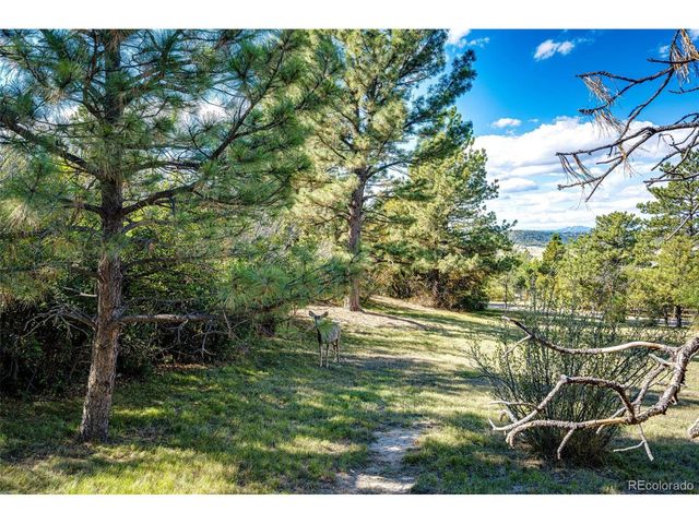 7417 Rafter Rd, Franktown, CO 80116