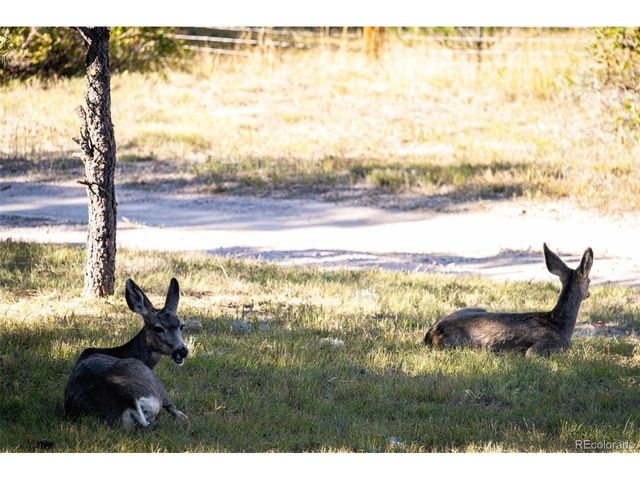 7417 Rafter Rd, Franktown, CO 80116