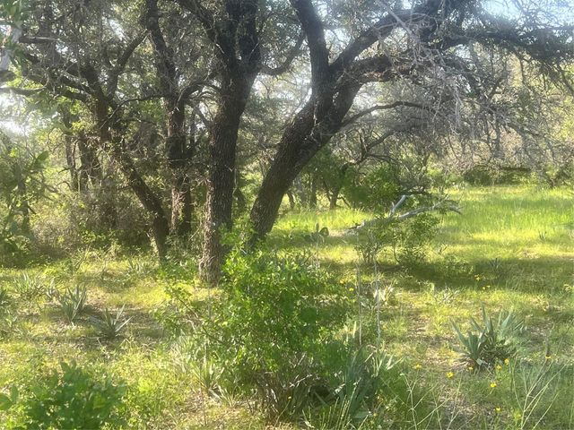 149 Comanche Hills, Comanche, TX 76442